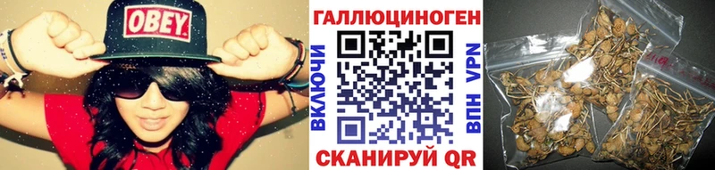 Галлюциногенные грибы GOLDEN TEACHER Александровск-Сахалинский